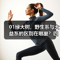 01绿大树，野生系与大益系的区别在哪里？四款茶详细解析（图2）
