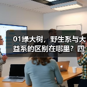 01绿大树，野生系与大益系的区别在哪里？四款茶详细解析（图4）
