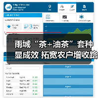 雨城“茶+油茶”套种显成效 拓宽农户增收路(图4) 雨城“茶+油茶”套种显成效 拓宽农户增收路(图4)