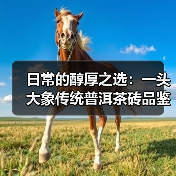 日常的醇厚之选：一头大象传统普洱茶砖品鉴与冲泡（图3）