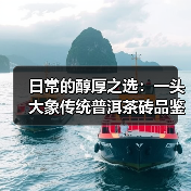 日常的醇厚之选：一头大象传统普洱茶砖品鉴与冲泡（图2）