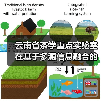 云南省茶学重点实验室在基于多源信息融合的智能调控系统研究上取得重要进展(图3) 云南省茶学重点实验室在基于多源信息融合的智能调控系统研究上取得重要进展(图3)