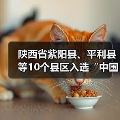 陕西省紫阳县、平利县等10个县区入选“中国茶叶流通协会2025年度茶业重点（原百强）县域”（图4）