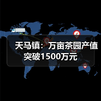 天马镇:万亩茶园产值突破1500万元(图2) 天马镇:万亩茶园产值突破1500万元(图2)