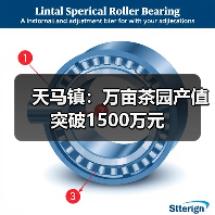 天马镇:万亩茶园产值突破1500万元(图3) 天马镇:万亩茶园产值突破1500万元(图3)