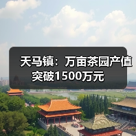 天马镇:万亩茶园产值突破1500万元(图1) 天马镇:万亩茶园产值突破1500万元(图1)