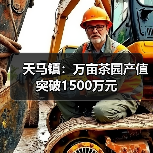 天马镇:万亩茶园产值突破1500万元(图4) 天马镇:万亩茶园产值突破1500万元(图4)