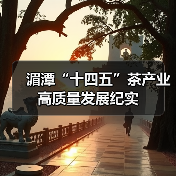 湄潭“十四五”茶产业高质量发展纪实（图3）