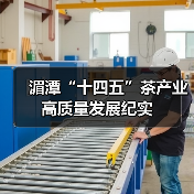 湄潭“十四五”茶产业高质量发展纪实（图4）