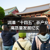 湄潭“十四五”茶产业高质量发展纪实（图1）