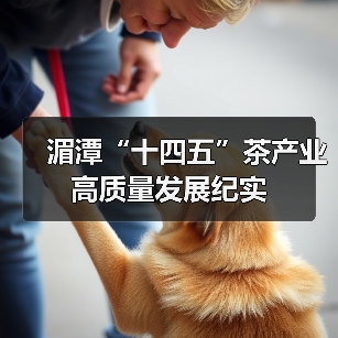 湄潭“十四五”茶产业高质量发展纪实（图2）