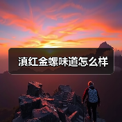 滇红金螺味道怎么样（图4）