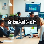 金骏眉茶叶怎么样(图3) 金骏眉茶叶怎么样(图3)