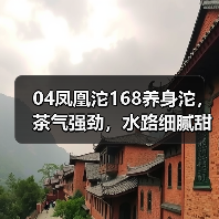 04凤凰沱168养身沱,茶气强劲,水路细腻甜柔,高品质精品口粮茶(图3) 04凤凰沱168养身沱,茶气强劲,水路细腻甜柔,高品质精品口粮茶(图3)