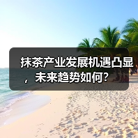 抹茶产业发展机遇凸显，未来趋势如何？（图3）