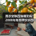 百茶堂铁四值得买吗？2008年陈香牌铁饼四代，长期看好（图4）
