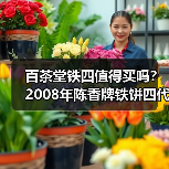 百茶堂铁四值得买吗？2008年陈香牌铁饼四代，长期看好（图3）