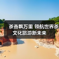 茶香飘万里 领航世界茶文化旅游新未来（图2）