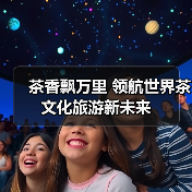 茶香飘万里 领航世界茶文化旅游新未来（图3）