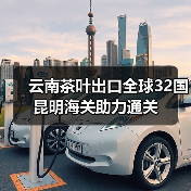 云南茶叶出口全球32国 昆明海关助力通关（图2）