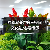 成都茶馆 成都茶馆