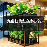 九曲红梅红茶多少钱一斤（图3）