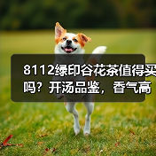 8112绿印谷花茶值得买吗?开汤品鉴,香气高扬表现出彩(图4) 8112绿印谷花茶值得买吗?开汤品鉴,香气高扬表现出彩(图4)