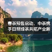 春茶预售启动，中茶携手日照绿茶共拓产业新局（图4）