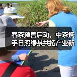 春茶预售启动，中茶携手日照绿茶共拓产业新局（图2）