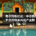 春茶预售启动，中茶携手日照绿茶共拓产业新局（图1）