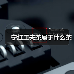 宁红工夫茶属于什么茶(图4) 宁红工夫茶属于什么茶(图4)