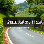 宁红工夫茶属于什么茶(图2) 宁红工夫茶属于什么茶(图2)