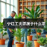 宁红工夫茶属于什么茶(图3) 宁红工夫茶属于什么茶(图3)