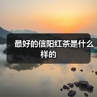 最好的信阳红茶是什么样的（图3）