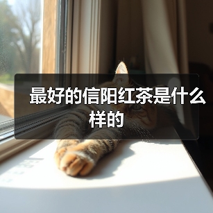 最好的信阳红茶是什么样的（图2）