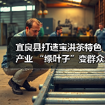 宜良县打造宝洪茶特色产业 “绿叶子”变群众致富“金叶子”(图2) 宜良县打造宝洪茶特色产业 “绿叶子”变群众致富“金叶子”(图2)