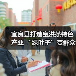 宜良县打造宝洪茶特色产业 “绿叶子”变群众致富“金叶子”(图4) 宜良县打造宝洪茶特色产业 “绿叶子”变群众致富“金叶子”(图4)