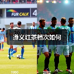 遵义红茶档次如何(图3) 遵义红茶档次如何(图3)