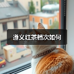 遵义红茶档次如何(图4) 遵义红茶档次如何(图4)