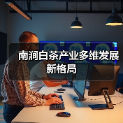 南涧白茶产业多维发展新格局(图2) 南涧白茶产业多维发展新格局(图2)