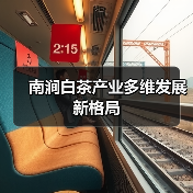 南涧白茶产业多维发展新格局(图3) 南涧白茶产业多维发展新格局(图3)