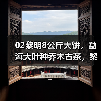 02黎明8公斤大饼,勐海大叶种乔木古茶,黎明茶厂生茶天花板(图2) 02黎明8公斤大饼,勐海大叶种乔木古茶,黎明茶厂生茶天花板(图2)