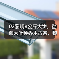 02黎明8公斤大饼,勐海大叶种乔木古茶,黎明茶厂生茶天花板(图3) 02黎明8公斤大饼,勐海大叶种乔木古茶,黎明茶厂生茶天花板(图3)