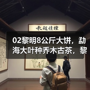 02黎明8公斤大饼,勐海大叶种乔木古茶,黎明茶厂生茶天花板(图1) 02黎明8公斤大饼,勐海大叶种乔木古茶,黎明茶厂生茶天花板(图1)