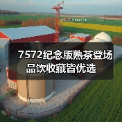 7572纪念版熟茶登场 品饮收藏皆优选（图3）