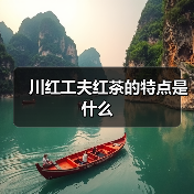 川红工夫红茶的特点是什么（图1）