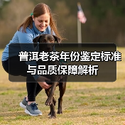 普洱老茶年份鉴定标准与品质保障解析(图1) 普洱老茶年份鉴定标准与品质保障解析(图1)