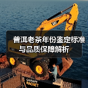 普洱老茶年份鉴定标准与品质保障解析(图4) 普洱老茶年份鉴定标准与品质保障解析(图4)