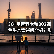 301早春乔木和302绿色生态青饼哪个好？勐海茶厂中期茶代表，详解（图3）