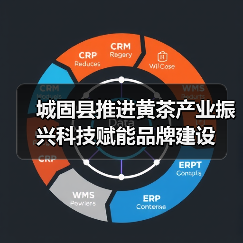 城固县推进黄茶产业振兴科技赋能品牌建设（图1）